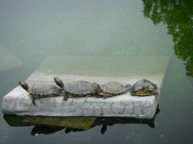 Submit your caption entry in the comments.